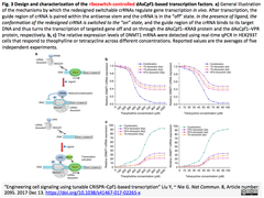 Cpf1-based transcription factors 3