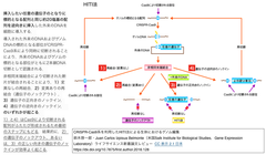 HIT法