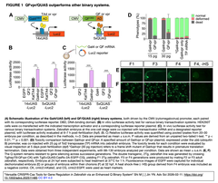 Versatile CRISPR-Cas Tools FIGURE 1