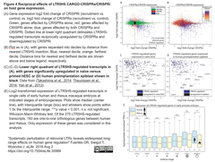 CRISPRメモ_2018/10/03 (13件)