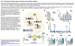 CjCas9 FIg. 1