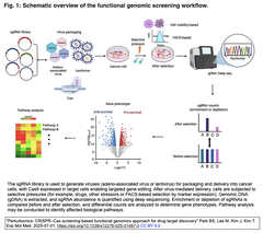 [総説] Perturbomics: 創薬標的探索のためのCRISPR–Casスクリーニングに基づく機能ゲノミクス・アプローチ