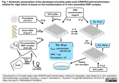 CRISPRメモ_2019/03/20-2 (マイクロタイタープレート版システム; 微生物のゲノム改変種々)