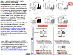 CRISPR SAM APP Graphical Abstract