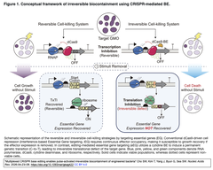 Multiplexed CRISPR base editing Figure 1