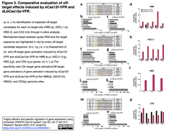 Cas12f 3
