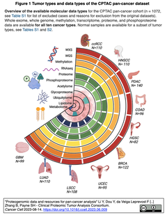 米国NIH、「がんムーンショット」計画達成に資する包括的プロテオゲノミクス・データセットを公開
