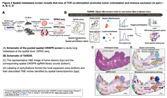 Uncovering spatially resolved functional genomics Fig. 2