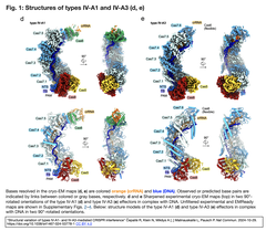 IV-A1 and IV-A3 　１−２