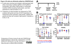 CRISPR/Cas9によるヒト初代B細胞ゲノム工学