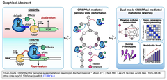 微生物工場 (大腸菌) におけるゲノムスケールの代謝再配線のためのデュアルモードCRISPRa/i