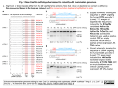 スクリーンショット 2019-02-06 13.24.31