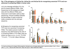 より厳密なPAM配列を認識するCas12aオーソログによって、オフターゲット編集を抑制