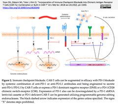 CAR-T 2
