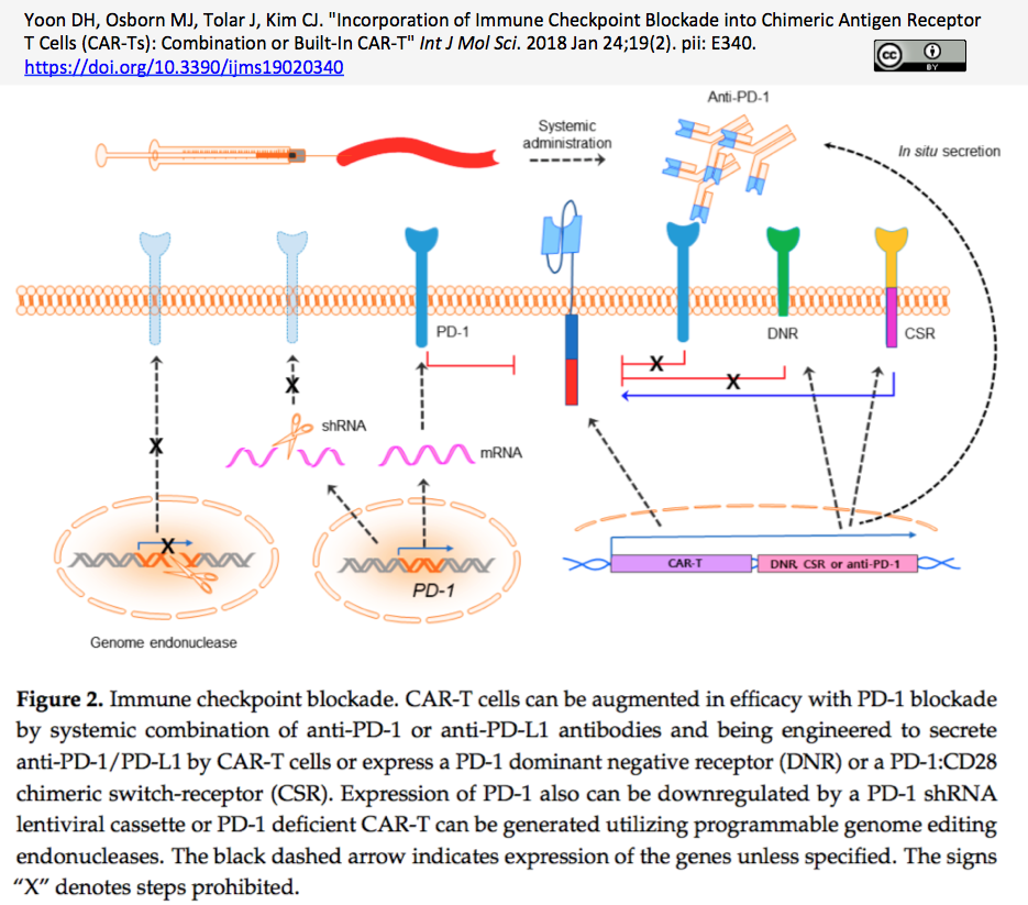 Crisprメモ 18 01 27 Car Tと免疫チェックポイント阻害併用 造血幹細胞編集プロトコル 骨髄増殖性腫瘍 Crisp Bio