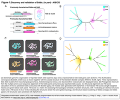 Regulated transformation system Figure 1-1