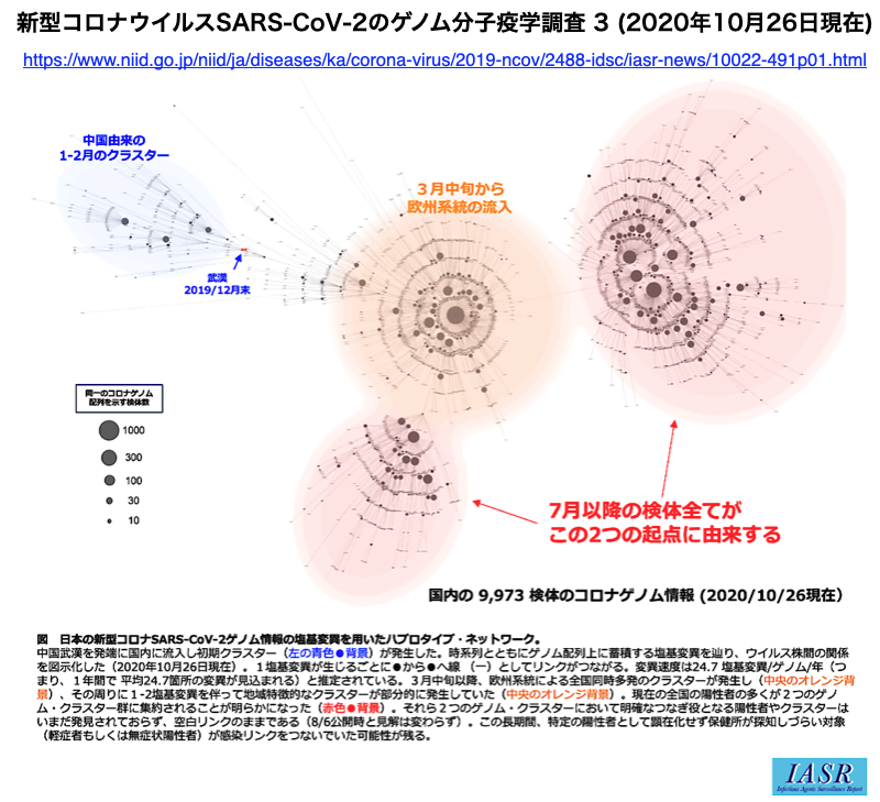 新型コロナウイルス 感染研の4 8 10月の解析結果から見て 国内感染は東京から全国へと広がった可能性が強まってきた Crisp Bio 新型コロナウイルス 感染研の4 8 10月の解析結果から見て 国内感染は東京から全国へと広がった可能性が強まってきた Crisp Bio