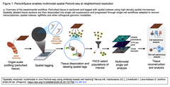 Spatially resolved, multimodal 1-a