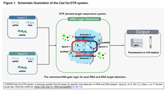 Cas12a DTR Figure 1