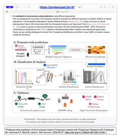 Proteome-wide prediction of the functional