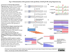 Figenome-seq