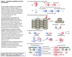 Prokaryotic defense systems