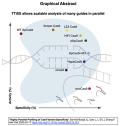 LZ3 Cas9