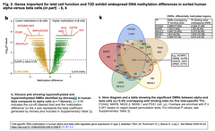 Cell-specific DNA methylation Fig. 2 b, k