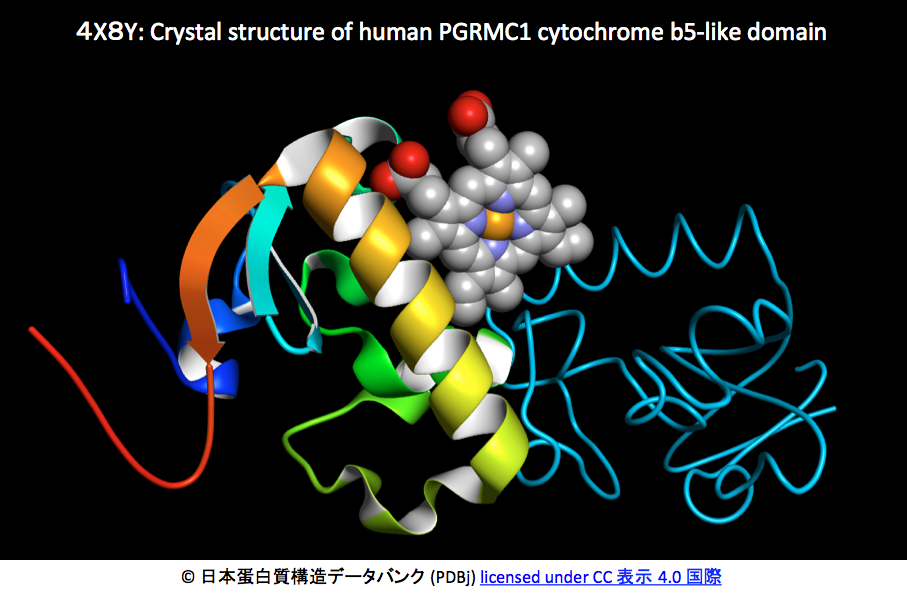 crisp_bio
	  [PDIS]PGRMC1/σ２受容体が、がん増殖と化学療法抵抗性を促進する構造基盤
	コメント