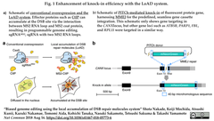 CRISPRメモ_2018/08/18 (7件)