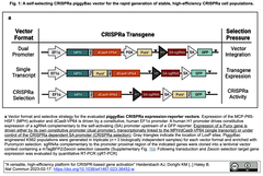 スクリーンショット 2023-02-25 11.28.54
