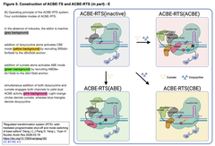 Regulated transformation system Figure 5