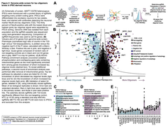 CRISPR screens in iPSC-derived neurons Figure 2