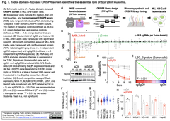 CRISPR-Scan 1