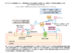 [PDIS]アラート：尾部アンカー型タンパク質予測システム“TAPPM”の開発