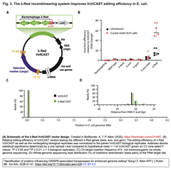 inhibitors and activators of VchCAST F1 F3