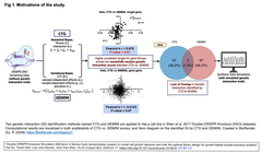 Double-CRISPR Knockout Simulation (DKOsim)