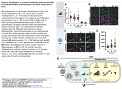 Packaged delivery of CRISPR–Cas9 4