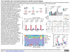 スクリーンショット 2023-11-14 10.38.10