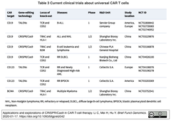 CAR-T 3