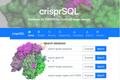 crisprSQL: CRISPR/Casオフターゲット切断アッセイの結果を集約したデータベース