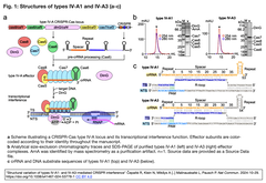 IV-A1 and IV-A3 　１−１