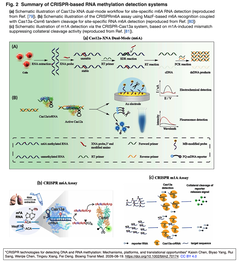CRISPR technologies for detecting 2