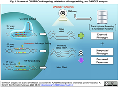 [20230926更新] CRISPR-Casオフターゲット編集が表現型に与える影響を参照ゲノムデータを介さずに評価可能とするDANGER解析