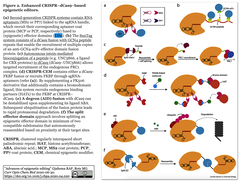 Epigenome Editor