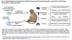 Senescence-resistant