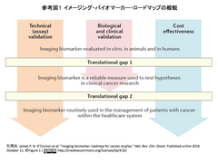 [レビュー] 癌研究のためのイメージング・バイオマーカーのロードマップ