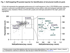 “Directed evolution of small RNA 1 - f