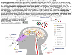 Different strategies to access the central nervous system