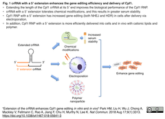 CRISPRメモ_2018/08/23 (6件)